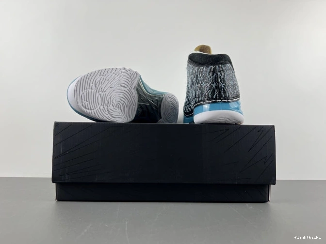 23 UNC Jordan 318376-041 0802